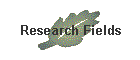 Research Fields